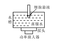 射频功率放大器在超声实现离体肿瘤细胞研究的应用