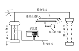 高压放大器在电光效应过电压传感器研究中的应用