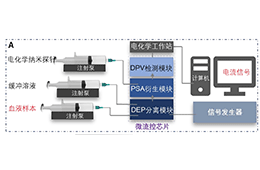 ATG-2000系列功率信号源在介电电泳细胞分选测试中的应用