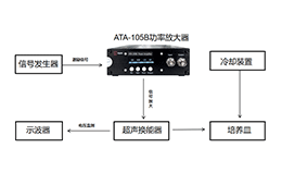 ATA-100系列功率放大器在超声波对绿豆种子生长发育影响实验中的应用