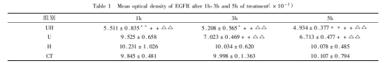 EGFR在超声处理1h、3h、5h后平均光密度值比较(*10-2)