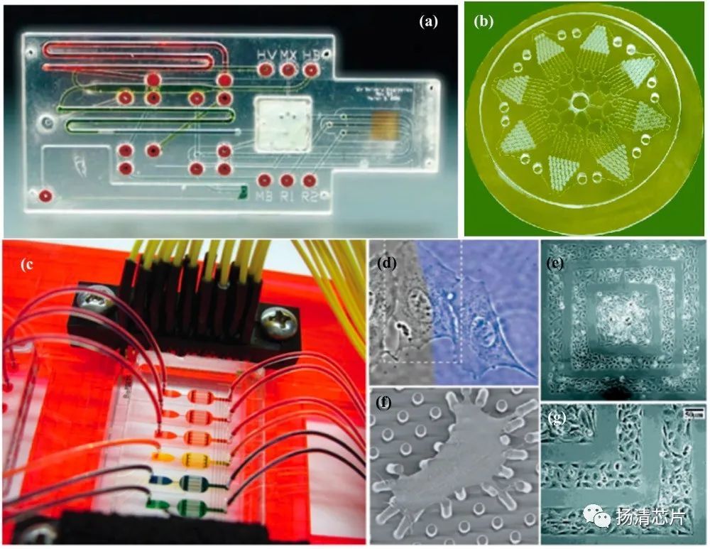什么是微流控技术？功率放大器在微流控医学领域研究中有哪些应用？
