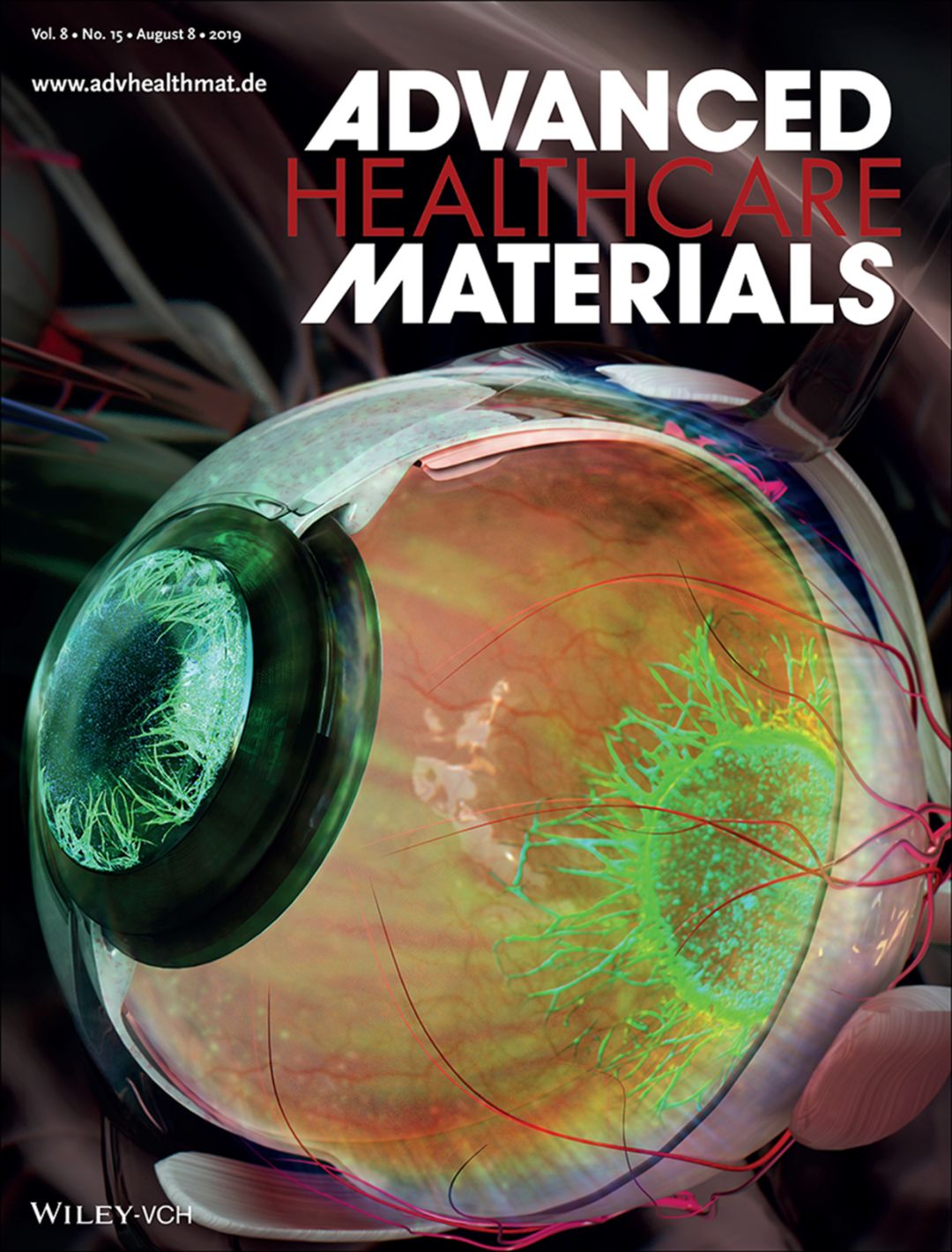 功率放大器微流控领域应用分享：仿人眼血管生成的血管芯片模型研究