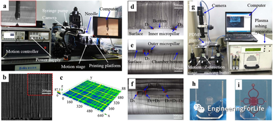 高压放大器行业应用分享：带3D支架的微流控装置构建动态三维细胞培养微环境