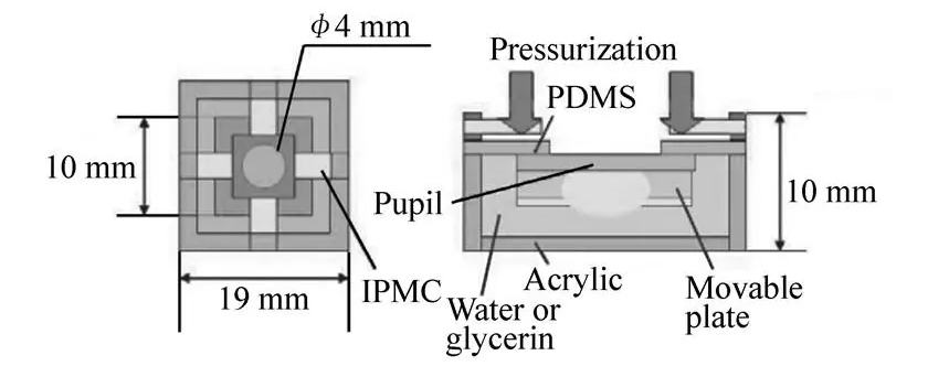 高压放大器在电活性聚合物驱动测试中的应用