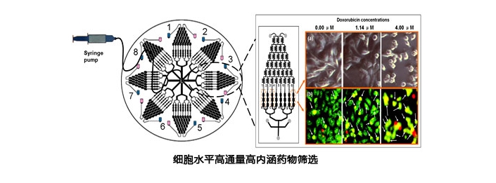 高电压放大器微流控细胞筛选测试——西安beat365官方网站