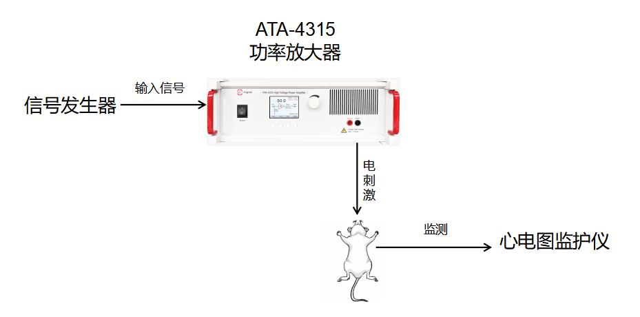 生物电刺激技术研究实验框图