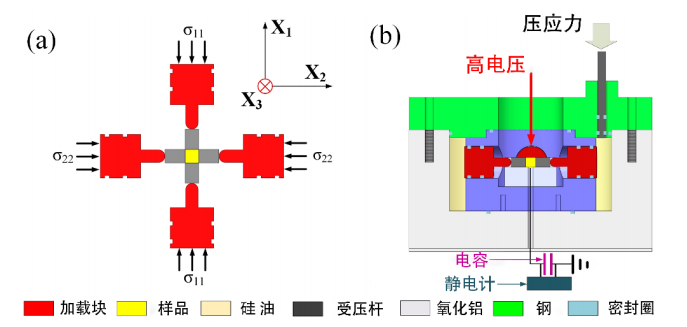 铁电陶瓷双轴横向应力（a）加载过程中样品的受力示意图（b）加载装置示意图