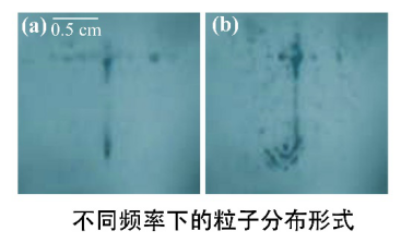 不同頻率下的粒子分布形式