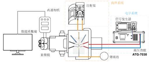 实验框架图