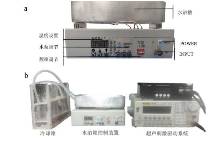 基于超声生物效应的装置及动植物的早期发育应用初步研究实拍图