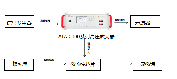 基于微结构过滤和介电泳效应的细胞分选微流控芯片及分选方法研究实验框图