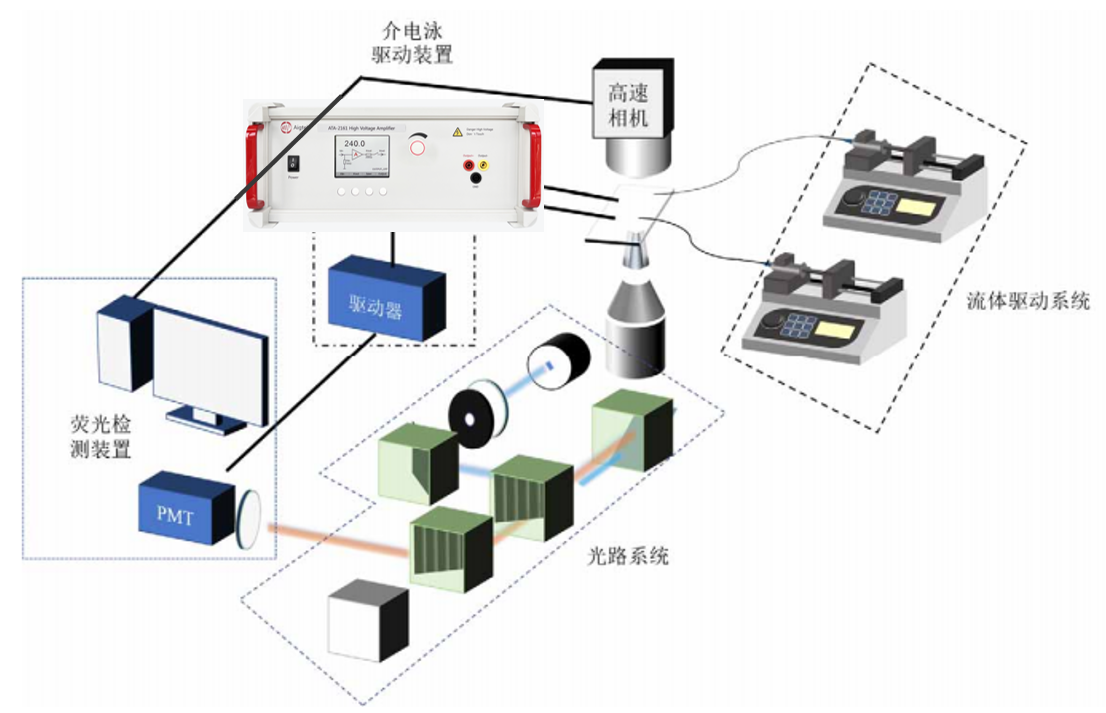 介电泳液滴分选实验框图