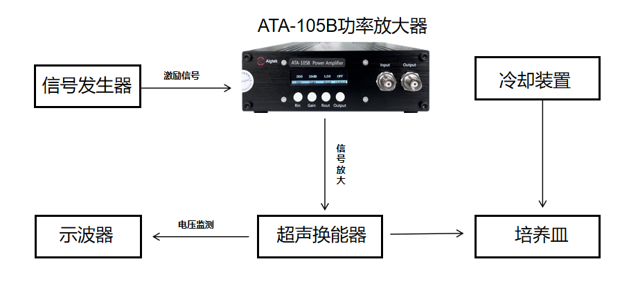 超声波对绿豆种子生长发育的影响研究实验框图