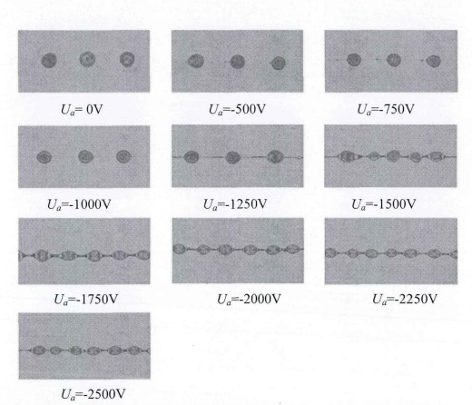 交变电场诱导单射流喷印实验结果