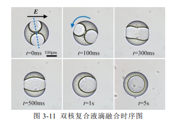 双核复合液滴融合时序图