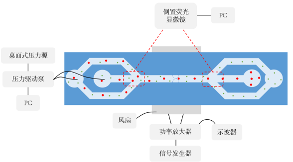 微颗粒分离技术实验框图