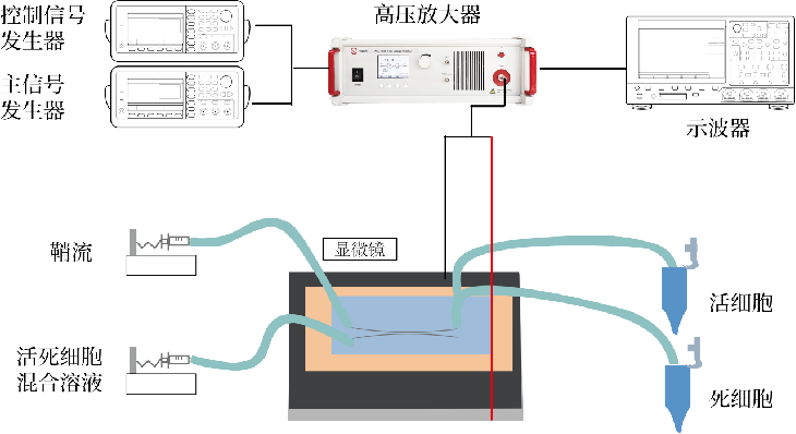 基于微井式微流控芯片的单细胞测序实验框图